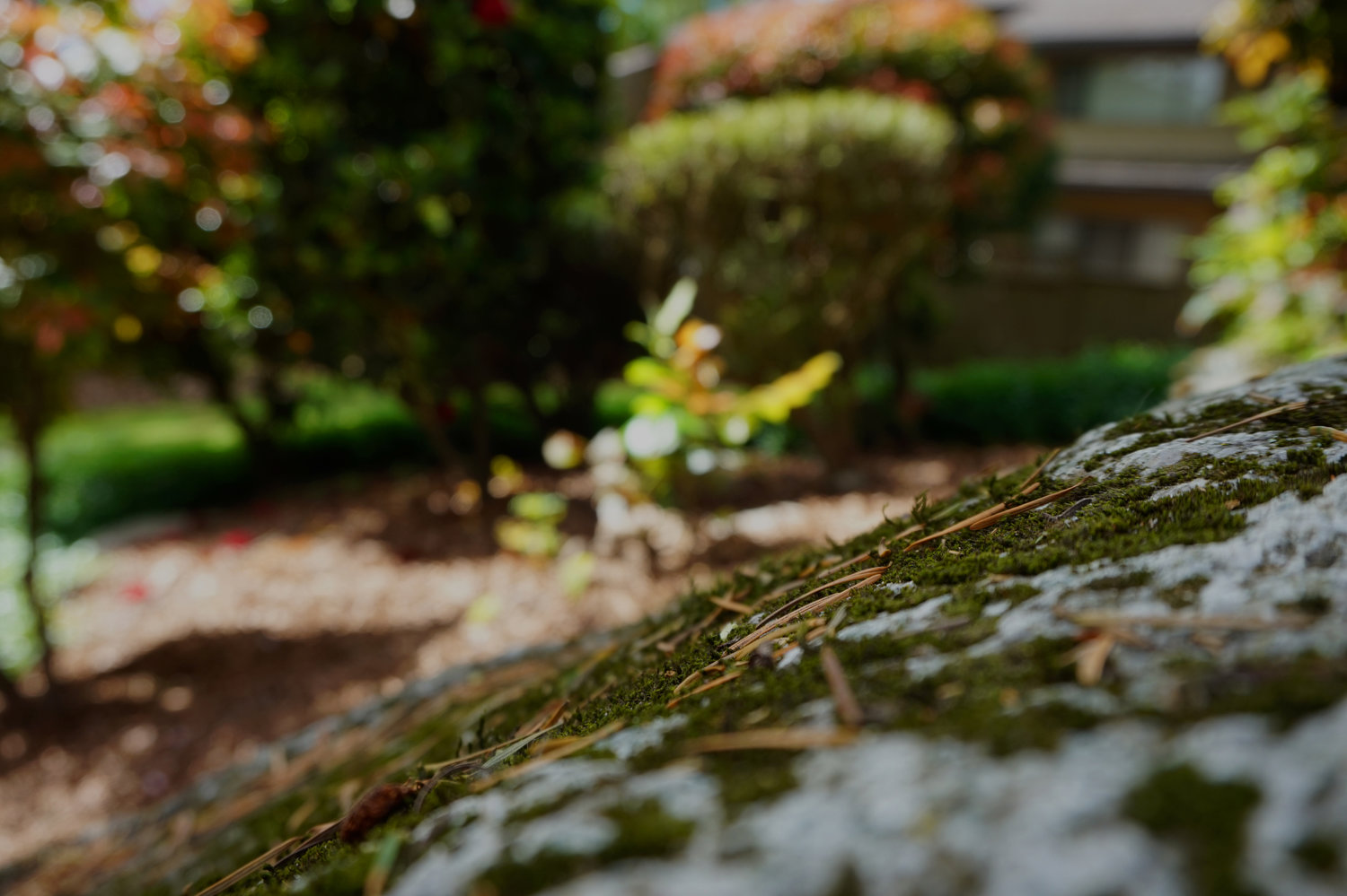 Likas Landscaping