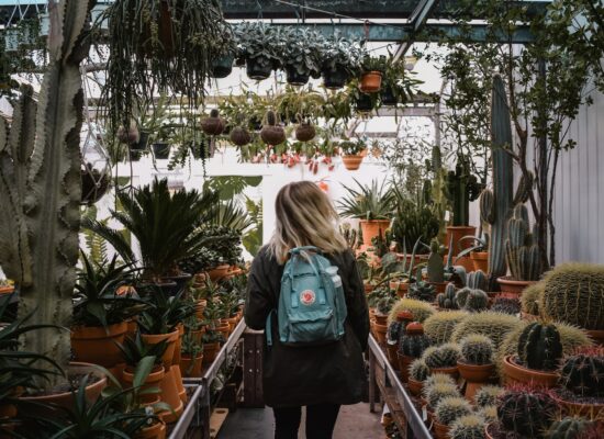 Plant Nursery